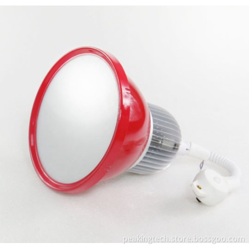 20W Supermarket Pendant Fresh Food Light Lamp (BS20)